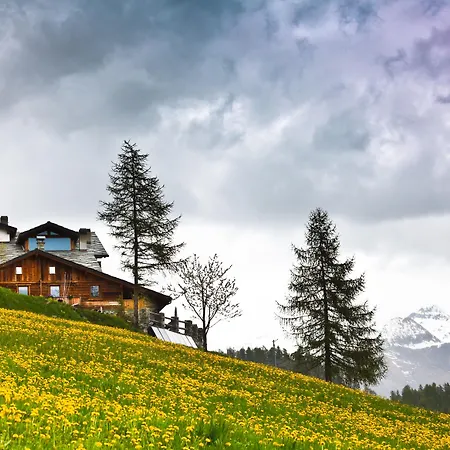 Hotel Caprice Des Neiges - 4*