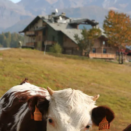 Caprice Des Neiges - Otel